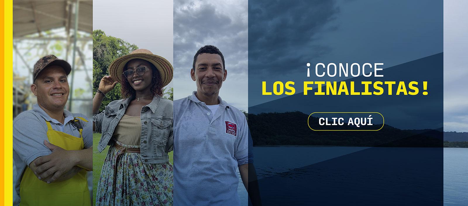 11 Finalistas 2024