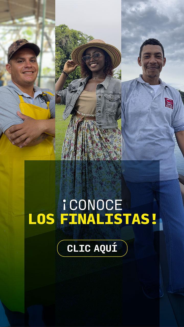 11 Finalistas 2024