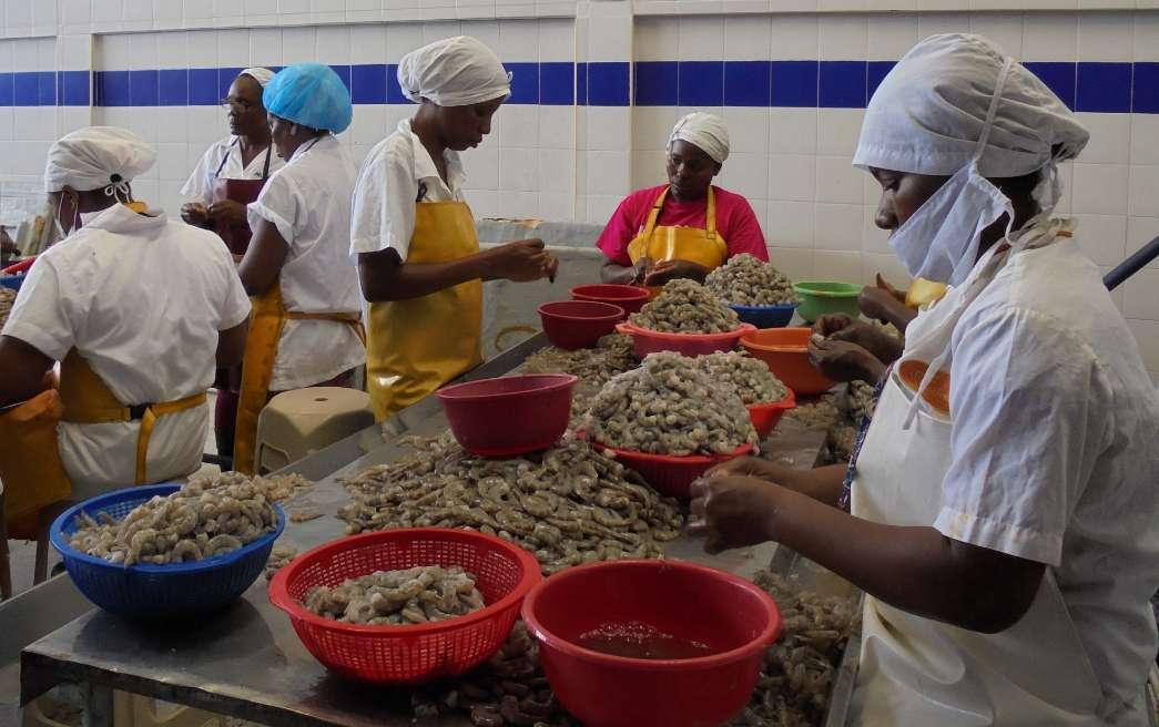 Procesadora y Comercializadora de Mariscos Mar&Sol