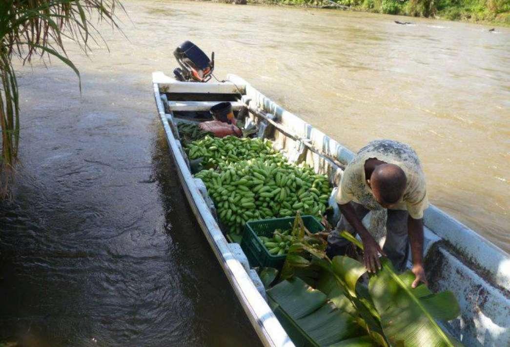 Asociación Agropecuaria Vida Ambientalmente Sana de Buenaventura-VAS