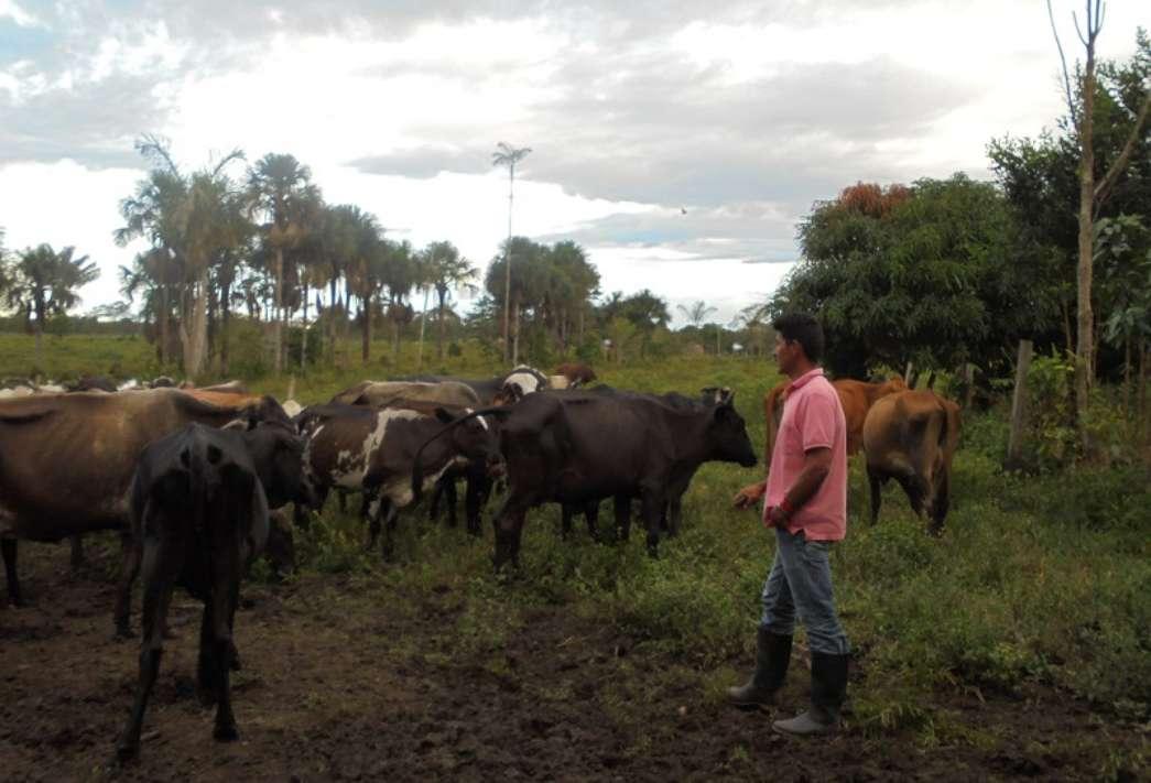 Asociación de Productores Agropecuarios del Río Duda - ASOPROADUM