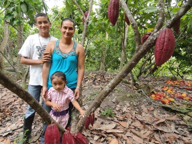 Asociación de Productores de Cacao - APROCASUR