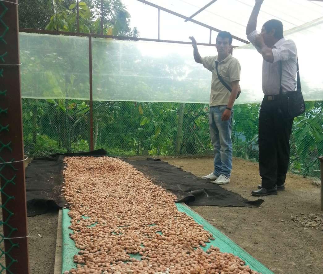 Asociación Campesina de Cacaoteros - ASOCACABO