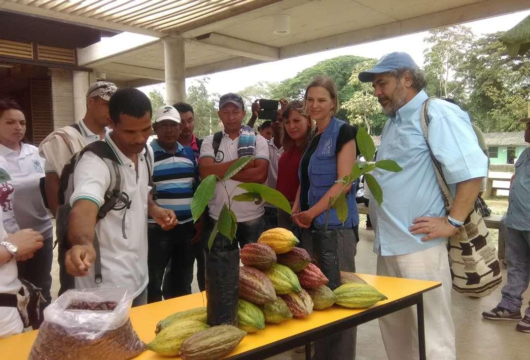 Cooperativa de Productores Agropecuarios Solución Integración y Vida - PROASIV